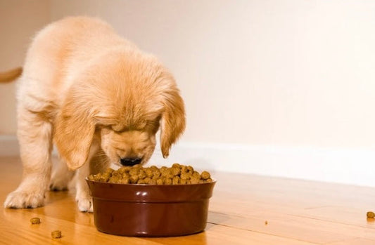 Why Less Is More: The Truth About Pet Treat Ingredients