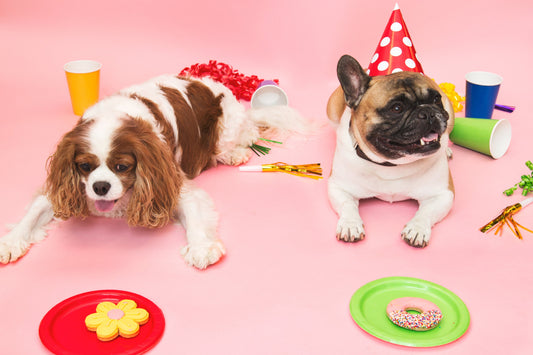The Ultimate Guide to Choosing Simple Ingredient Dog Chews for Pet Health