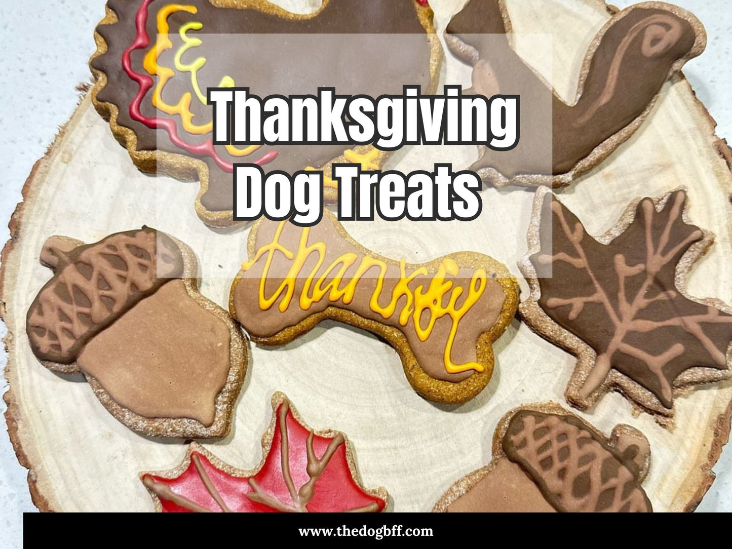 Thanksgiving Cookie Set