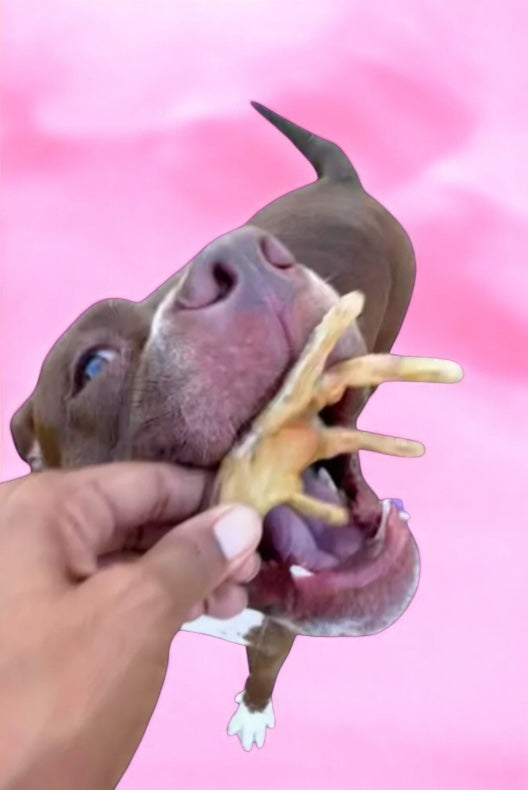 TheDogBFF Barkerie- chicken feet