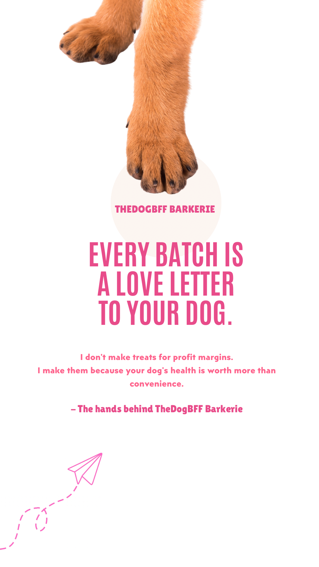 Dog Treat Fillers to Avoid: A Guide to Healthier Choices for Your Pup