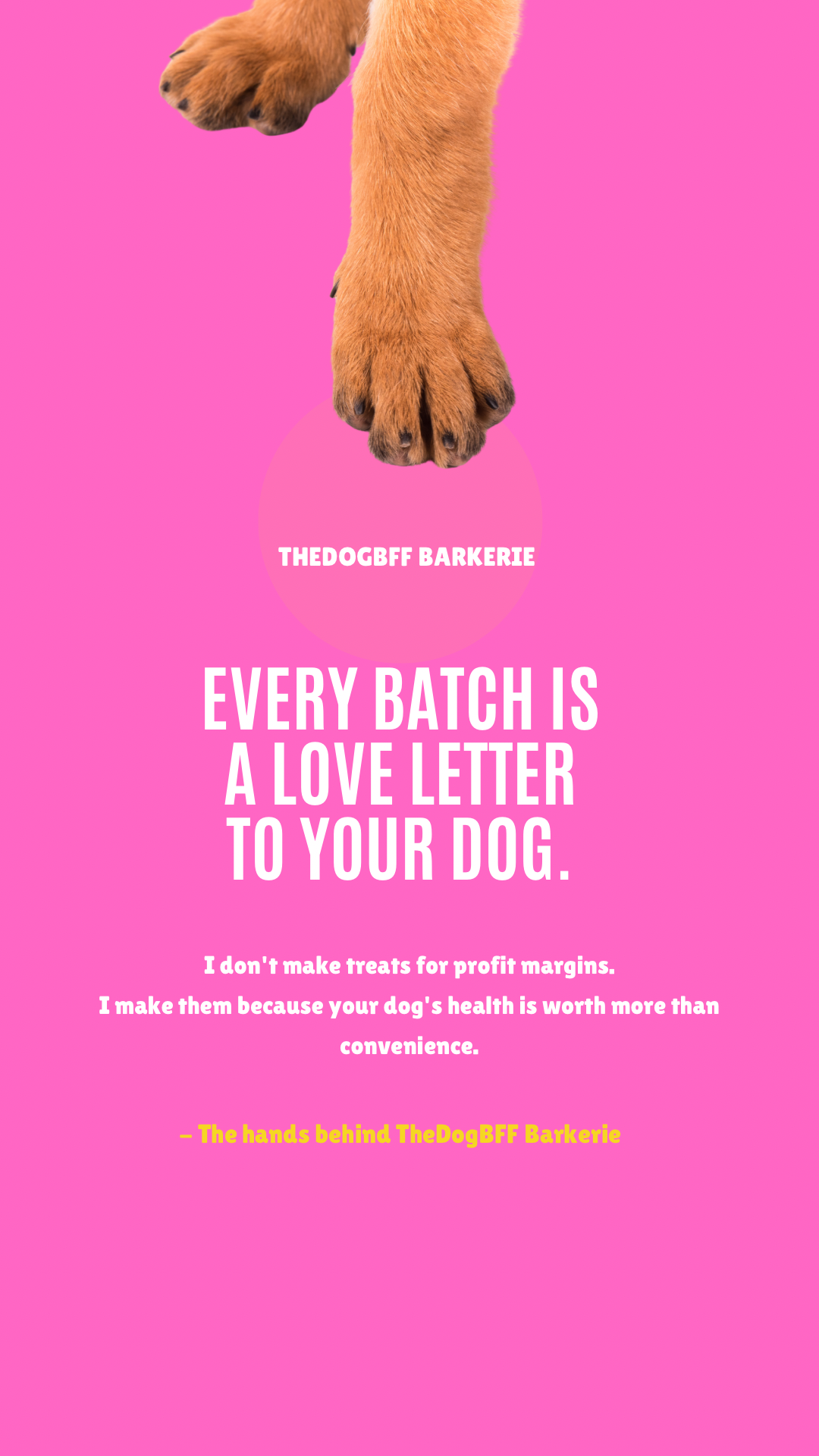 Is Your Pet's Tummy Talking? 3 Signs It's Time to Rethink Their Treats