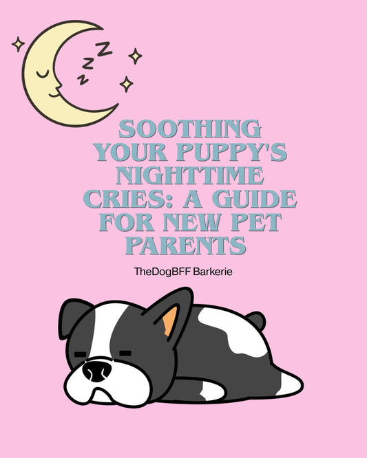 Soothing Your Puppy's Nighttime Cries: A Guide for New Pet Parents