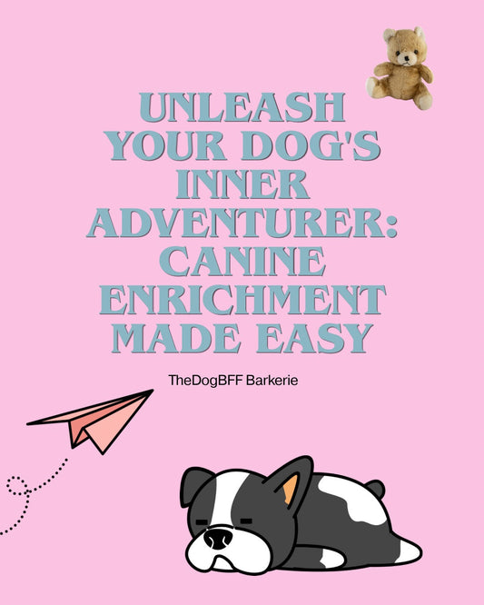 Unleash Your Dog's Inner Adventurer: Canine Enrichment Made Easy