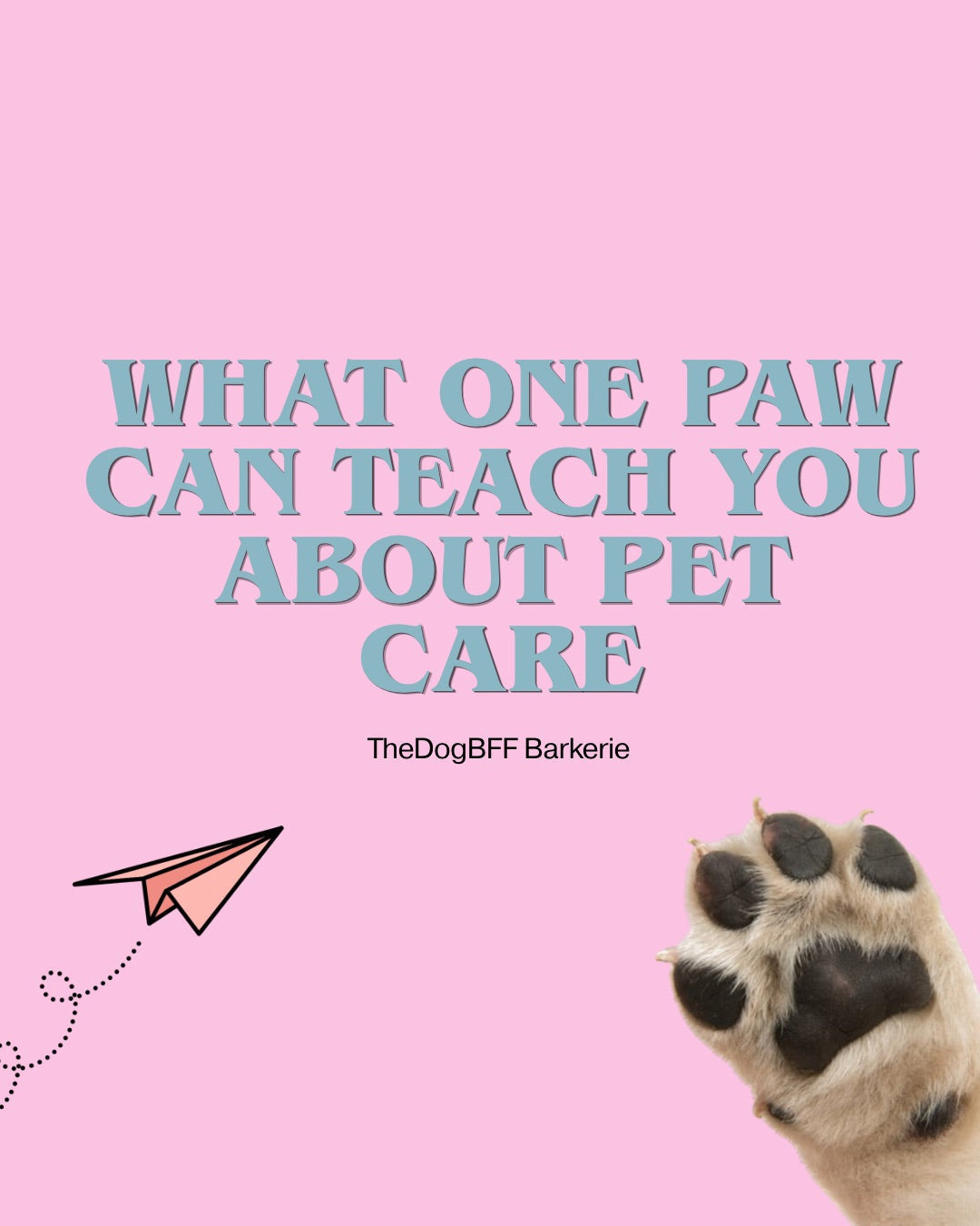 Why Every Paw Matters (Even the Smallest Ones)