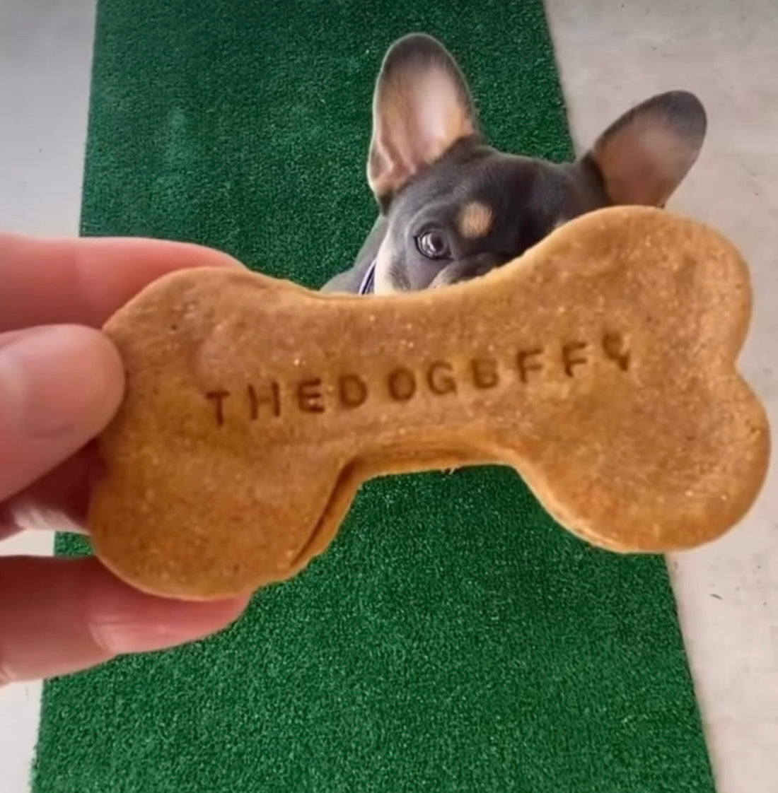 3 Reasons Your Pet Deserves Better Than Big-Box Treats