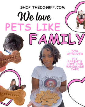 Why Does Minimal Processing in Pet Food/Treats Matter?