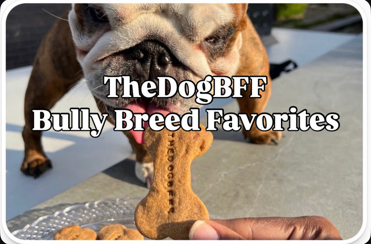 TheDogBFF Bully Breed Favorites