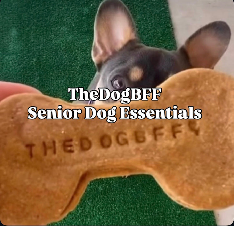TheDogBFF Senior Dog Essentials