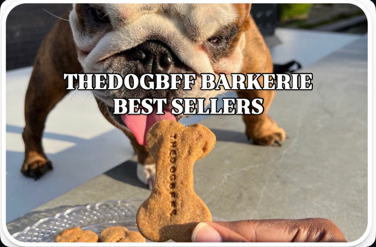TheDogBFF Best Sellers