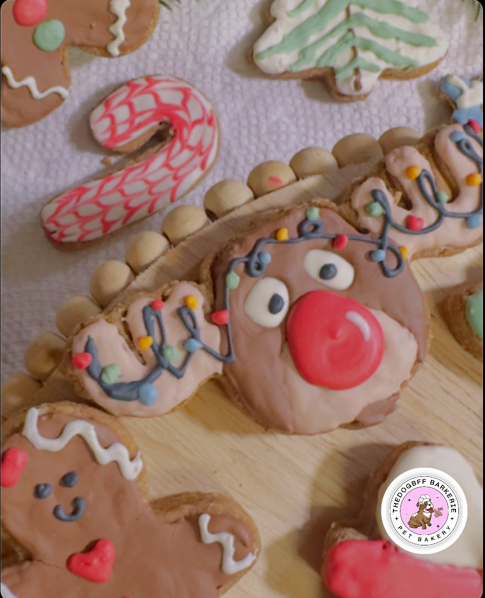 TheDogBFF Barkerie Woofmas Dog Cookie Set