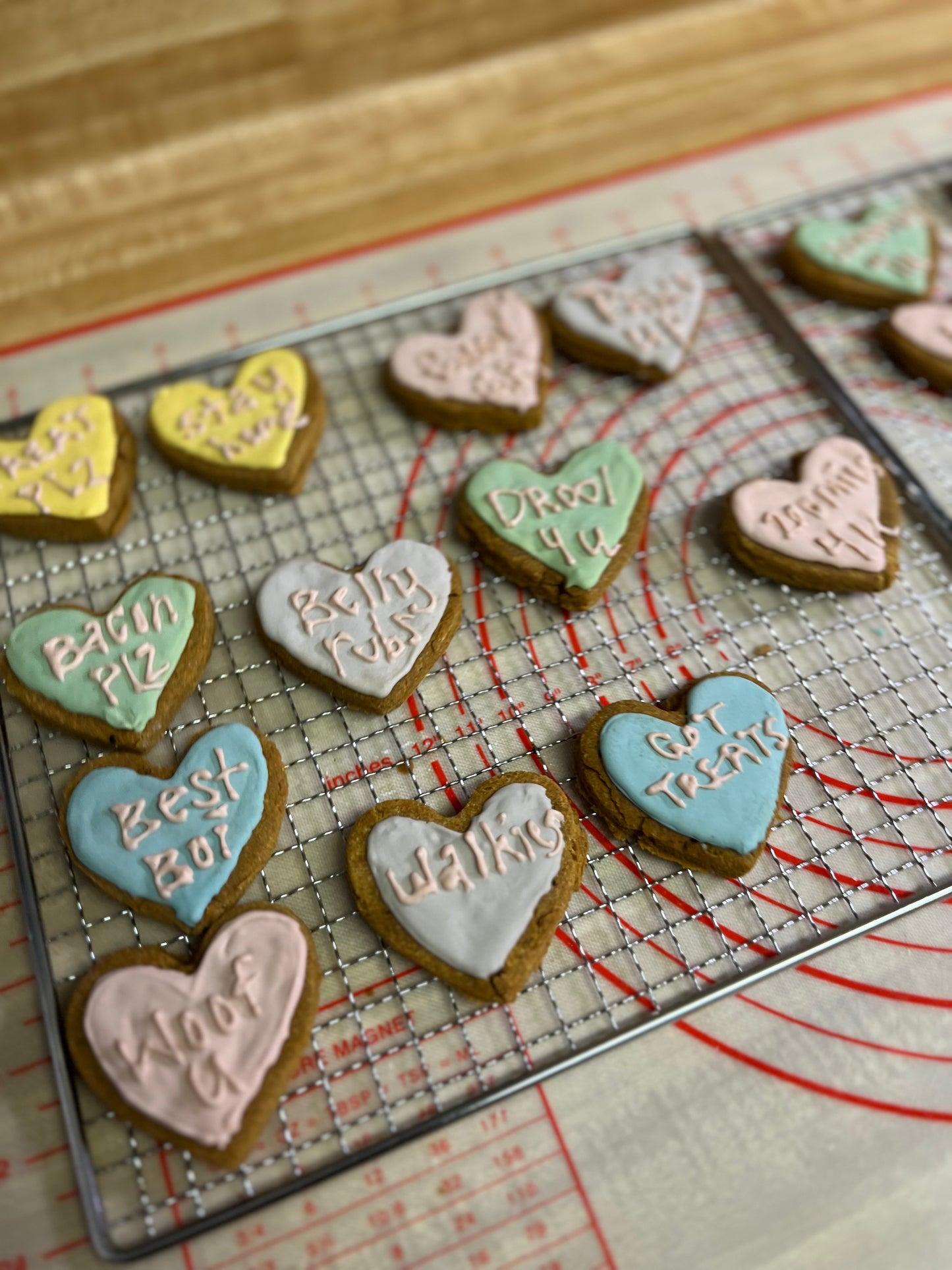 6-Sweet Messages Treats| Dog Treat Gift Box Set| Human-grade| Handmade| Dog Royal Icing