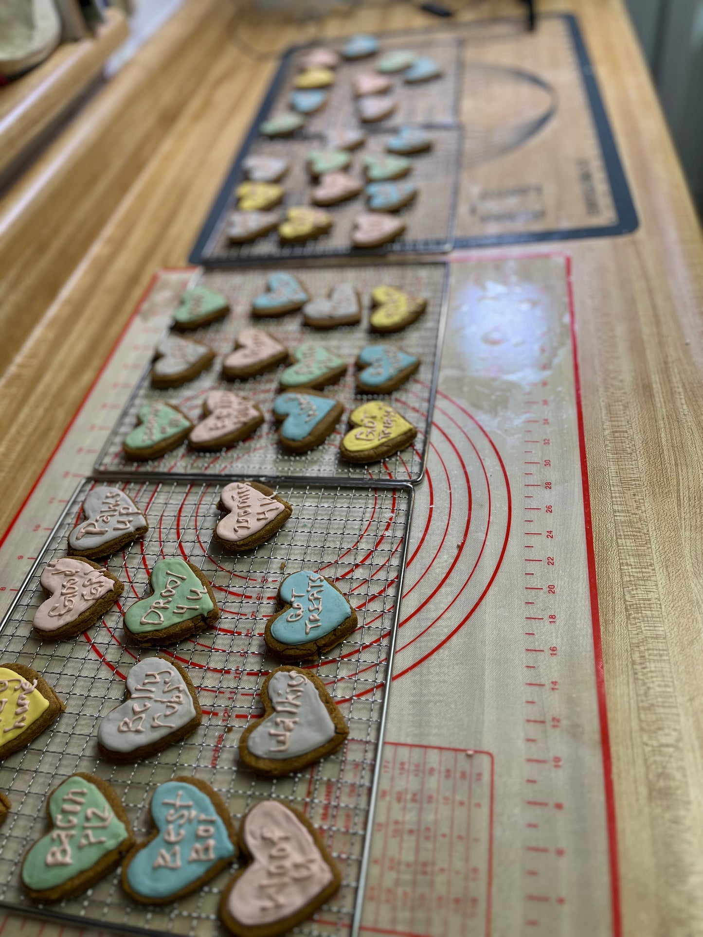 6-Sweet Messages Treats| Dog Treat Gift Box Set| Human-grade| Handmade| Dog Royal Icing