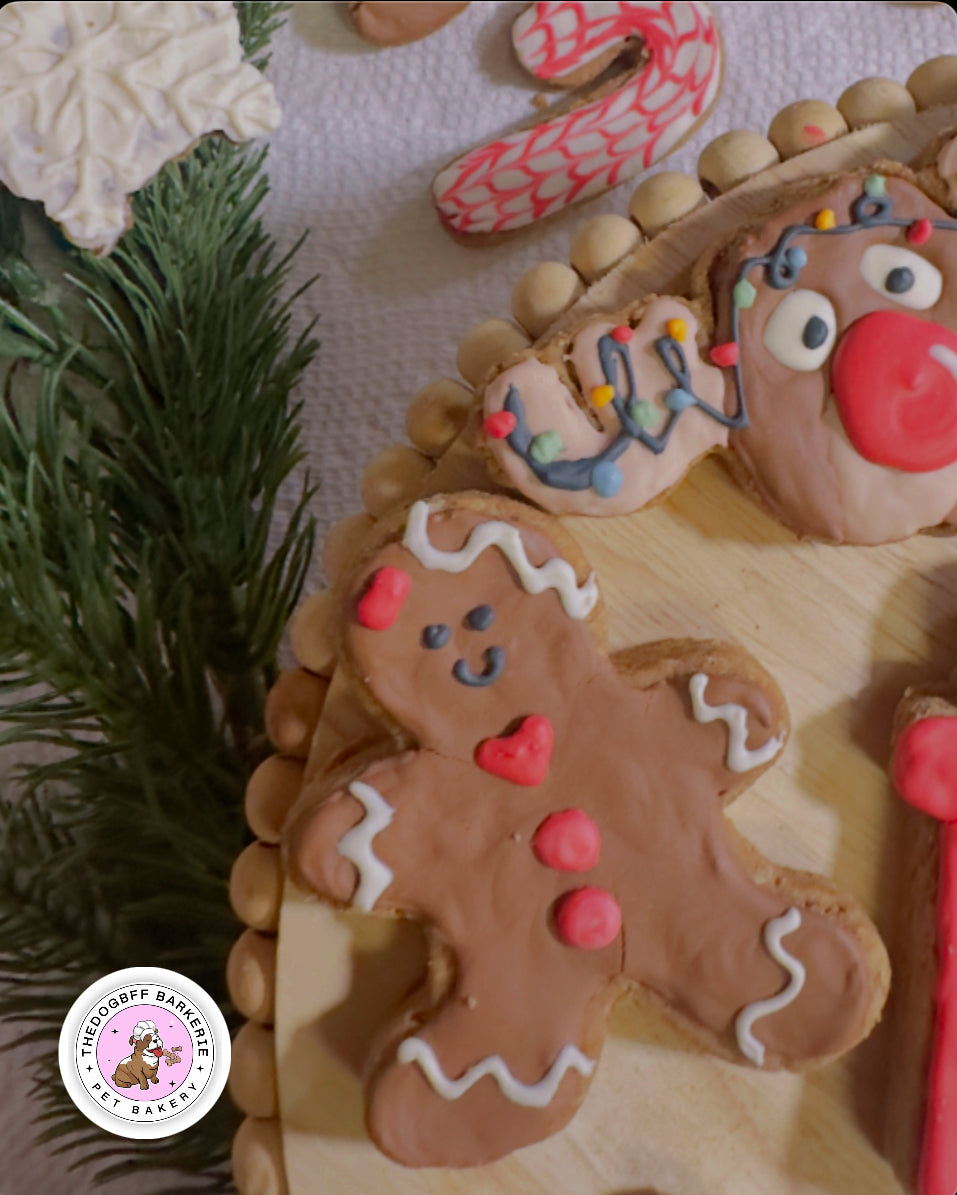 TheDogBFF Barkerie Woofmas Dog Cookie Set