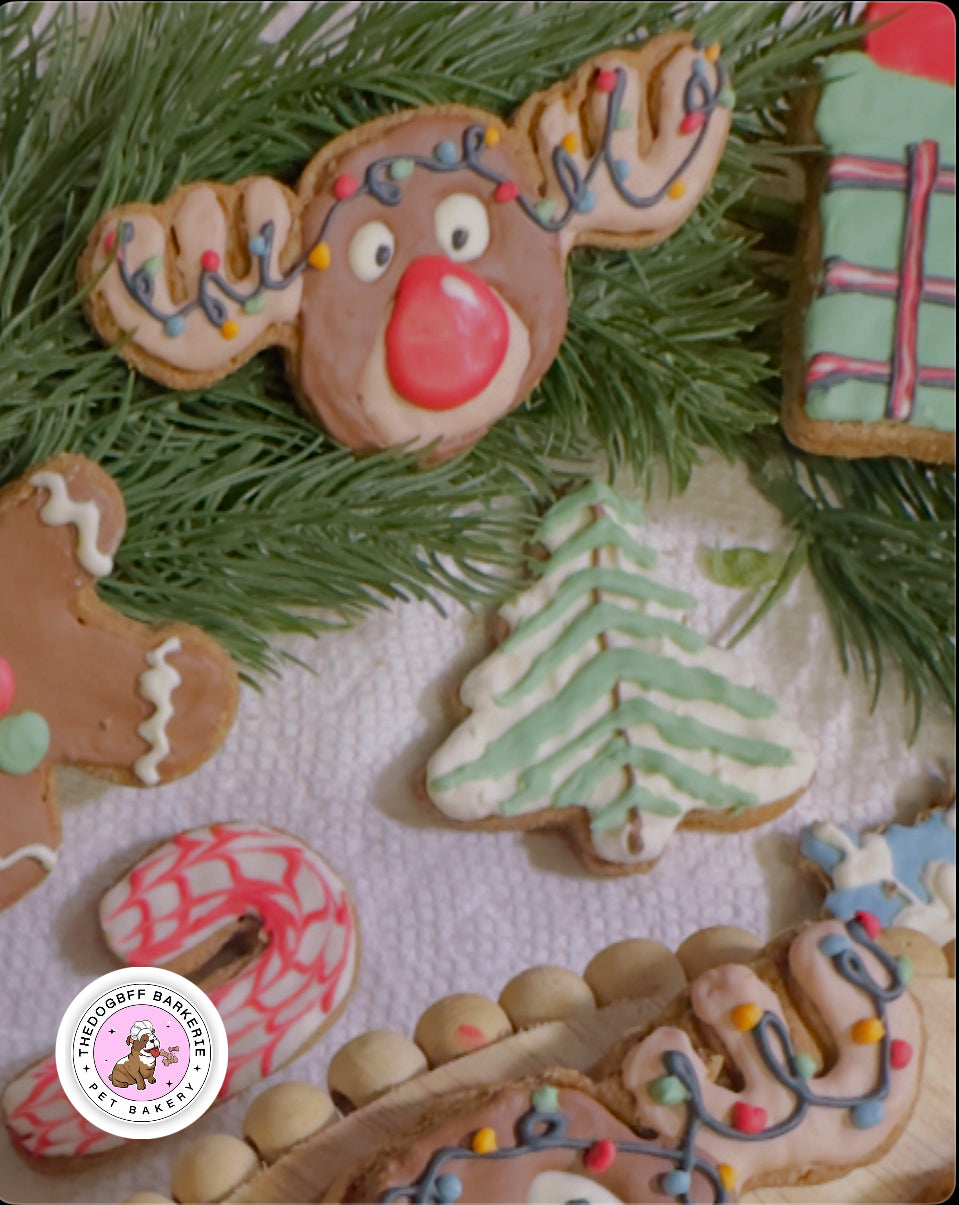 TheDogBFF Barkerie Woofmas Dog Cookie Set