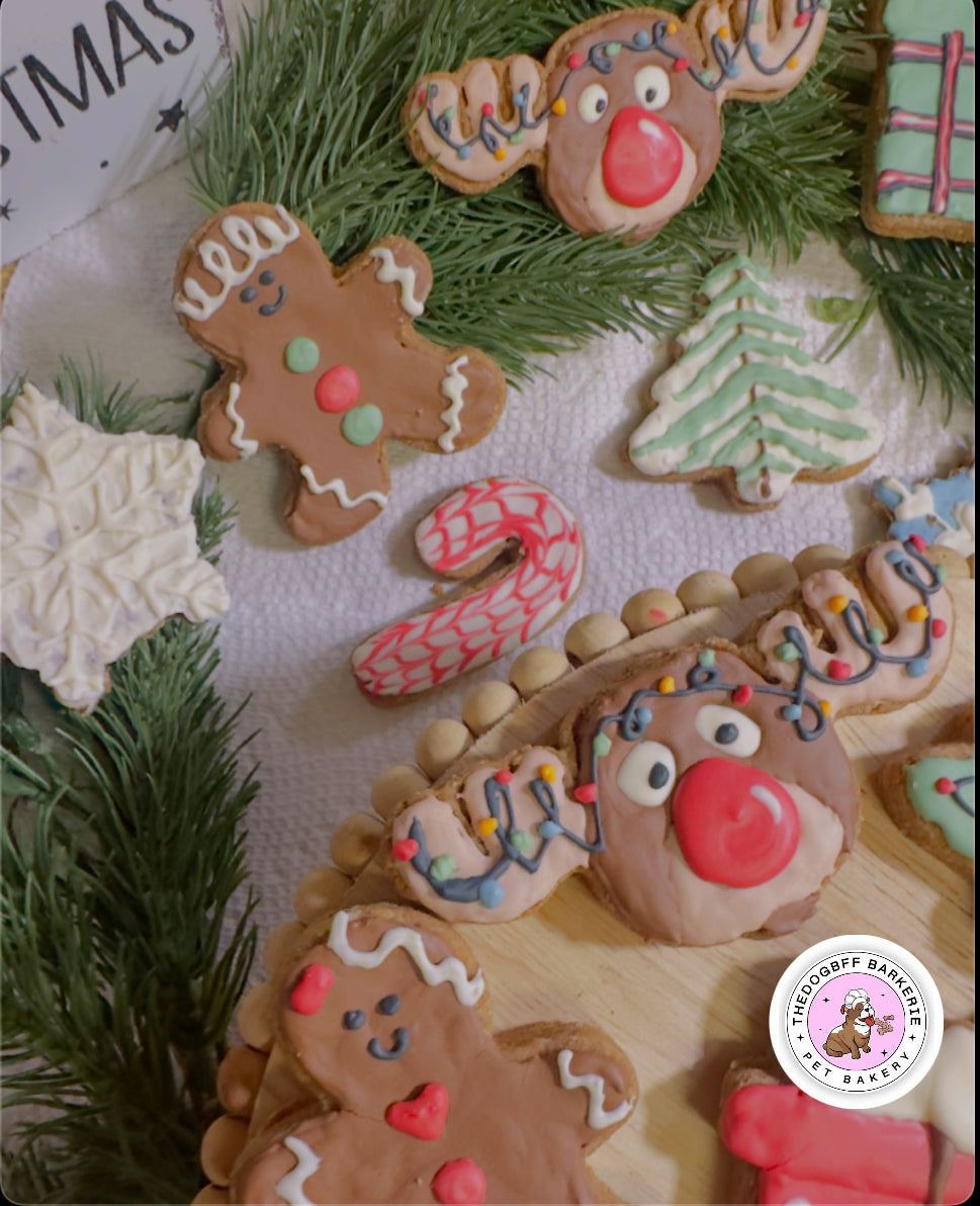 TheDogBFF Barkerie Woofmas Dog Cookie Set