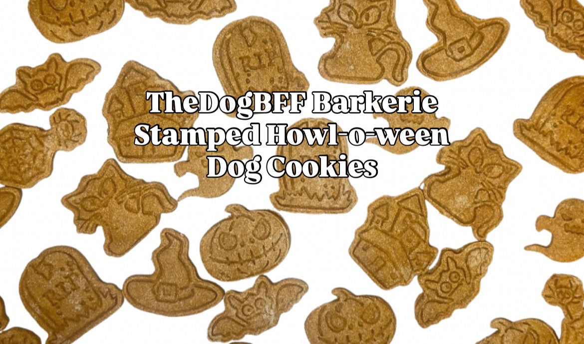 TheDogBFF Barkerie Stamped Halloween Dog Cookies, 4oz