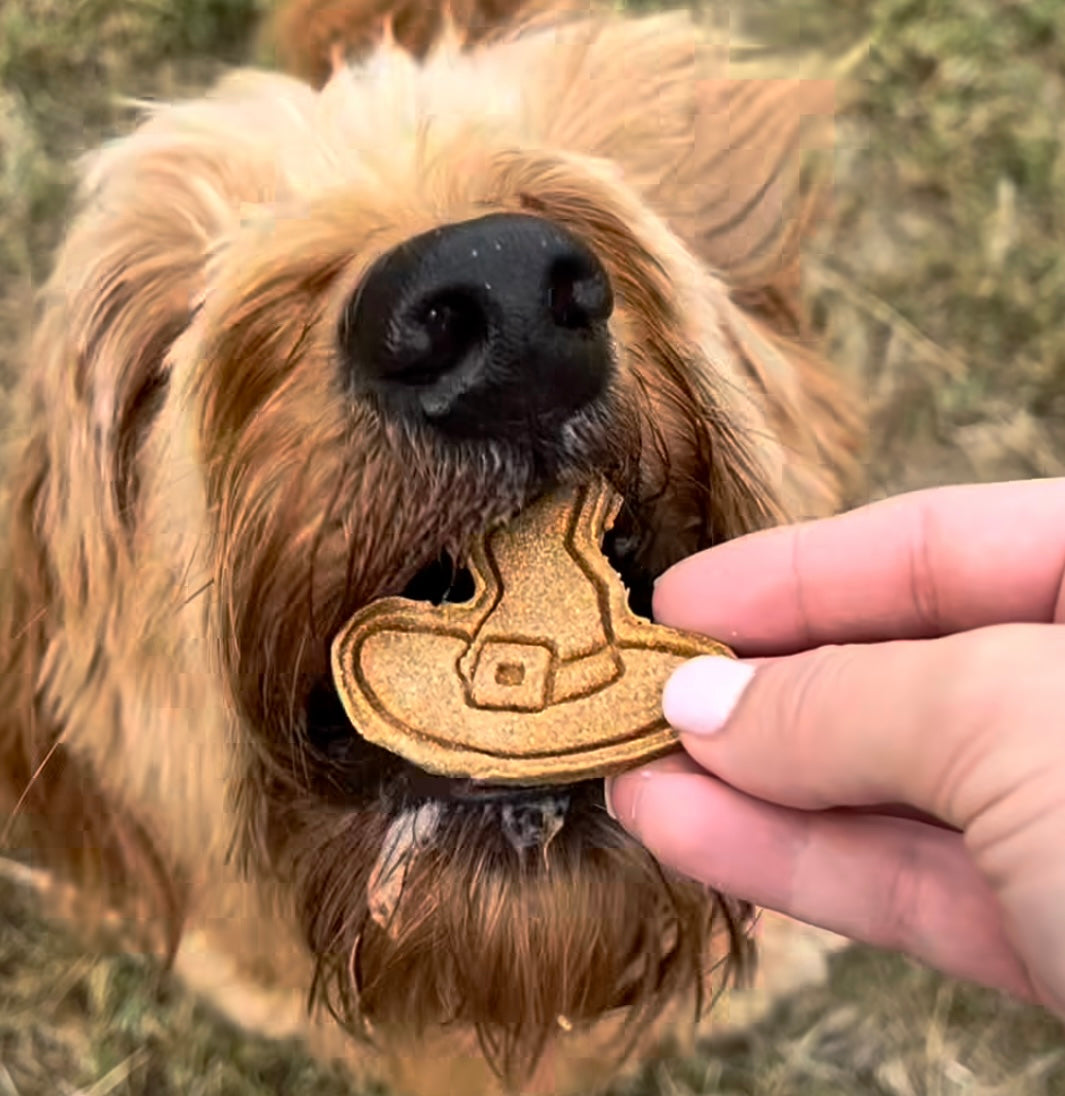 Dog with TheDogBFF Barkerie Spooky SZN dog treats  