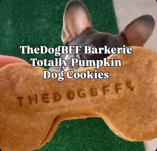 A close-up of a dog's head over a bone-shaped dog cookie stamped with 'THE DOG BFF'. Large white text overlay reads 'TheDogBFF Barkerie Totally Pumpkin Dog Cookies'.