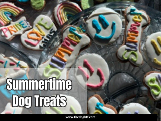 TheDogBFF Barkerie Summertime Dog Cookie Treat Box with 6 handmade summer-themed dog cookies in pumpkin and peanut butter flavors.