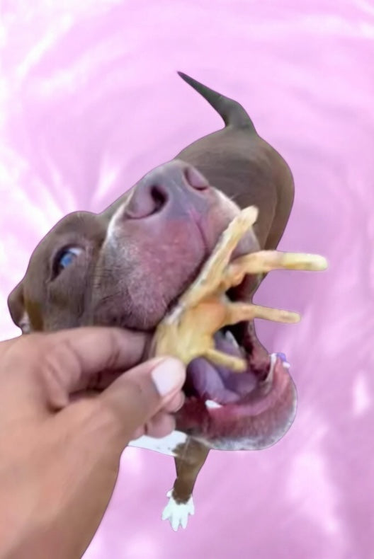 TheDogBFF Barkerie Cluckin’ Wild Chicken Paws, 4oz 1 Single Ingredient  Gently Dehydrated Sourced Locally