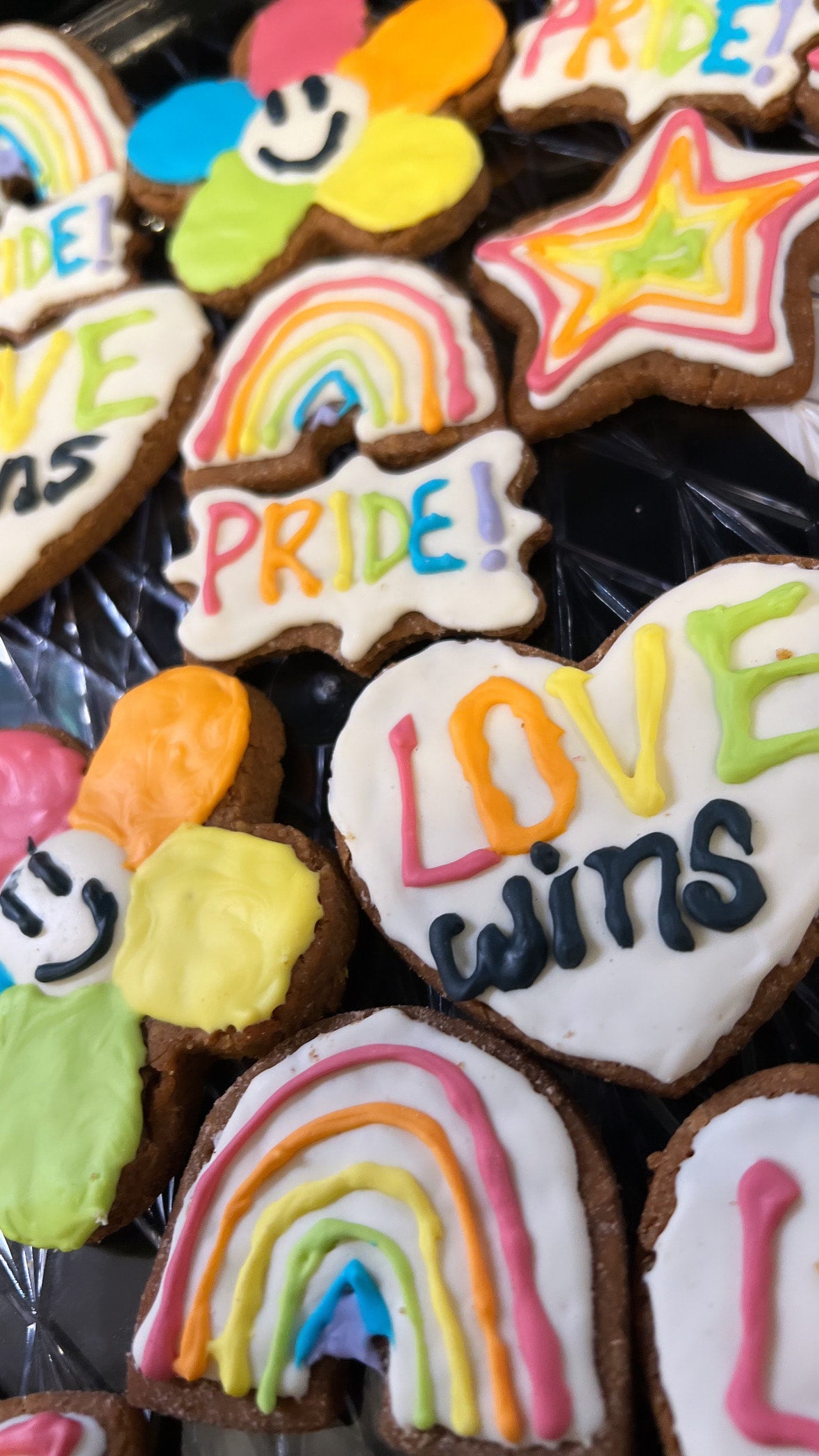 Pride Dog Treats